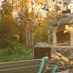 Усадьба Мерево, Лужский район, Ленинградская область