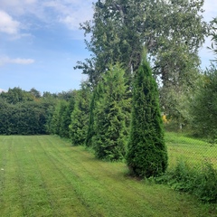 Усадьба Мерево, Лужский район, Ленинградская область