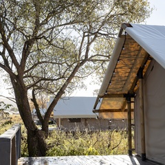 Глэмпинг Вазуза, Смоленская область