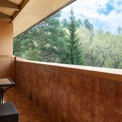 Парк-отель Сосновый бор, Новосибирск, Новосибирская область