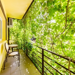 Гостевой дом Феличе, Анапский район, Краснодарский край