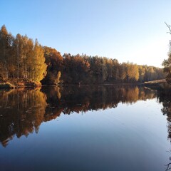 База отдыха Усадьба Мордвеза, Веневский район, Тульская область