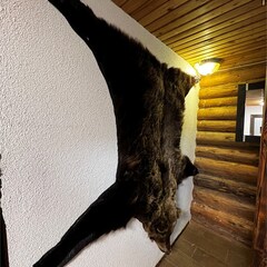 База отдыха Усадьба Мордвеза, Веневский район, Тульская область