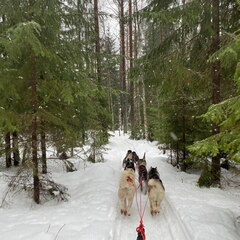 Глэмпинг Lago Ladoga, Сортавала, Республика Карелия