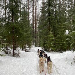 Глэмпинг Lago Ladoga, Сортавала, Республика Карелия