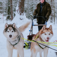 Глэмпинг Lago Ladoga, Сортавала, Республика Карелия