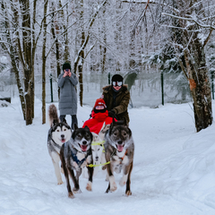 Глэмпинг Lago Ladoga, Сортавала, Республика Карелия