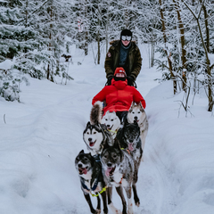 Глэмпинг Lago Ladoga, Сортавала, Республика Карелия