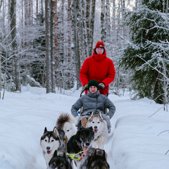 Глэмпинг Lago Ladoga, Сортавала, Республика Карелия