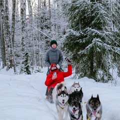 Глэмпинг Lago Ladoga, Сортавала, Республика Карелия