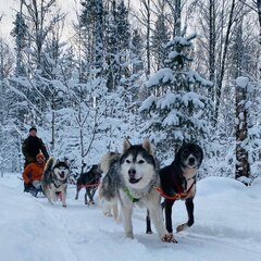 Глэмпинг Lago Ladoga, Сортавала, Республика Карелия