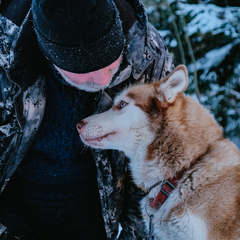 Глэмпинг Lago Ladoga, Сортавала, Республика Карелия