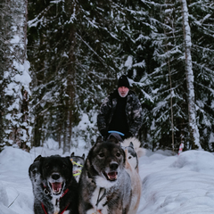 Глэмпинг Lago Ladoga, Сортавала, Республика Карелия