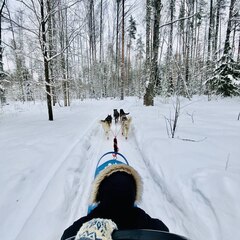 Глэмпинг Lago Ladoga, Сортавала, Республика Карелия