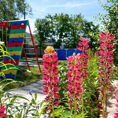 Гостиница Теремок, Яровое, Алтайский край