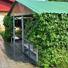 Гостиница Теремок, Яровое, Алтайский край