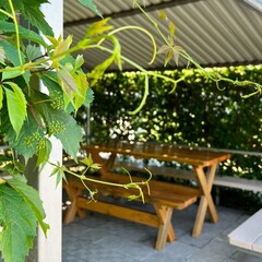 Гостиница Теремок, Яровое, Алтайский край