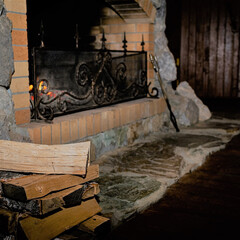 Парк-отель 4 сезона, Бердск, Новосибирская область