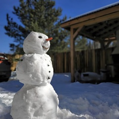 Дом Дуплекс Увильды, Аргаяшский район, Челябинская область