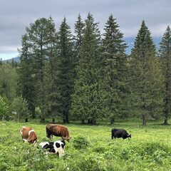 База отдыха Приозёрный, Зюраткуль, Челябинская область