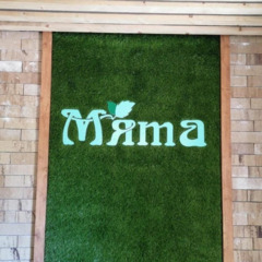 Гостиница Мята, район Елизовский, Камчатский край