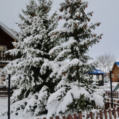 База отдыха Красная гора, Оренбургская область