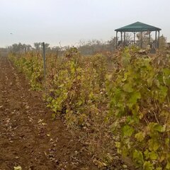 Усадьба Саркел, Цимлянск, Ростовская область