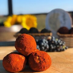 Усадьба Саркел, Цимлянск, Ростовская область