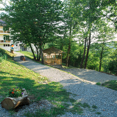 Отель Ардис, Сочи, Краснодарский край