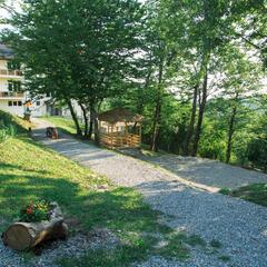 Отель Ардис, Сочи, Краснодарский край