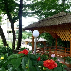 Отель Ардис, Сочи, Краснодарский край