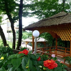 Отель Ардис, Сочи, Краснодарский край