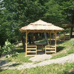 Отель Ардис, Сочи, Краснодарский край