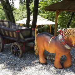 Отель Ардис, Сочи, Краснодарский край