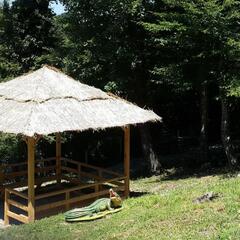 Отель Ардис, Сочи, Краснодарский край