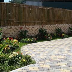 Отель Ардис, Сочи, Краснодарский край