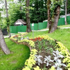 Отель Ардис, Сочи, Краснодарский край