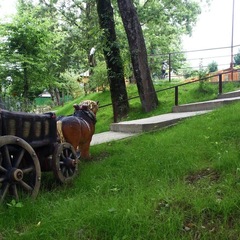 Отель Ардис, Сочи, Краснодарский край