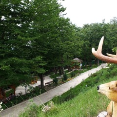 Отель Ардис, Сочи, Краснодарский край