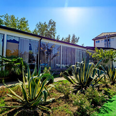 Отель Ардис, Сочи, Краснодарский край