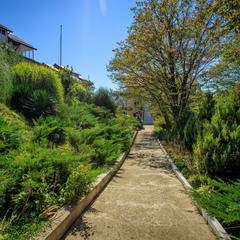 Отель Ардис, Сочи, Краснодарский край