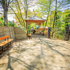 Отель Ардис, Сочи, Краснодарский край