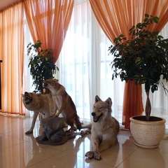 Отель Ардис, Сочи, Краснодарский край