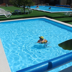 Отель Ардис, Сочи, Краснодарский край