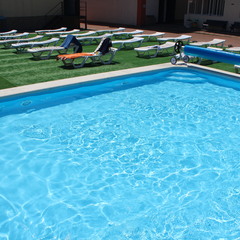 Отель Ардис, Сочи, Краснодарский край