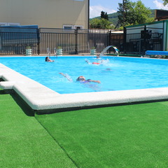 Отель Ардис, Сочи, Краснодарский край