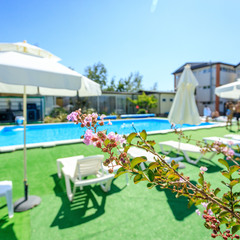 Отель Ардис, Сочи, Краснодарский край