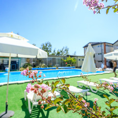 Отель Ардис, Сочи, Краснодарский край