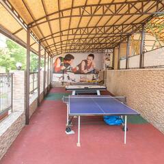 Отель Ардис, Сочи, Краснодарский край