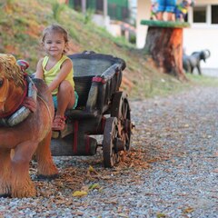 Отель Ардис, Сочи, Краснодарский край
